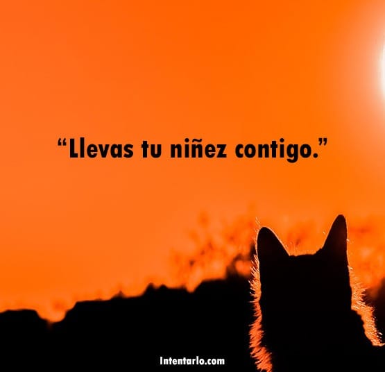 Frase sobre llevar la niñez siempre contigo.