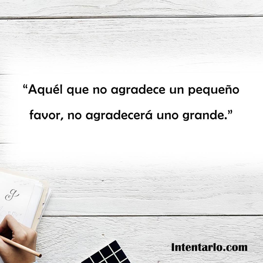 Frase sobre no agradecer un pequeño favor.