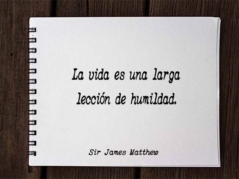 Humildad Frases Bonitas