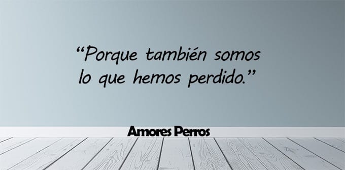 frases de amores perros En una pared hay una cita enmarcada que dice: "Porque también somos lo que hemos perdido". Debajo está impreso el texto "Amores perros". El fondo es una pared gris claro con suelo de madera blanca.