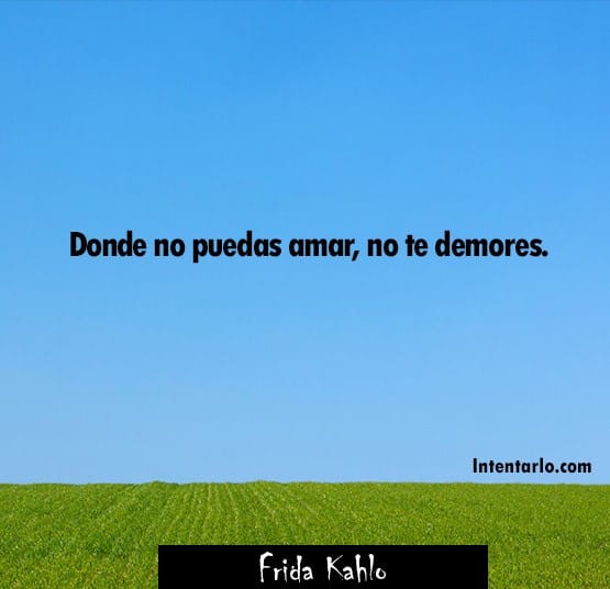 Frase de Frida Kahlo: Donde no puedas amar, no te demores.