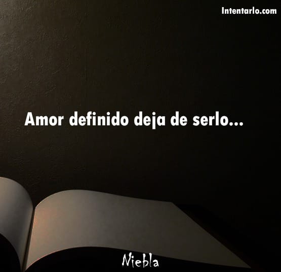 Sobre una superficie oscura se encuentra un libro abierto con el texto "Amor definido deja de serlo..." en la página izquierda. En la parte inferior derecha se ve la palabra "Niebla".