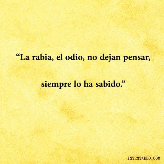 Texto sobre fondo amarillo: 'La rabia, el odio, no dejan pensar, siempre lo ha sabido.'