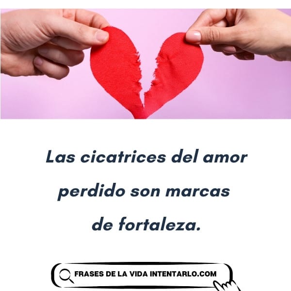 Dos manos sostienen un corazón rojo roto. El texto en español dice: 'Las cicatrices del amor perdido son marcas de fortaleza'.