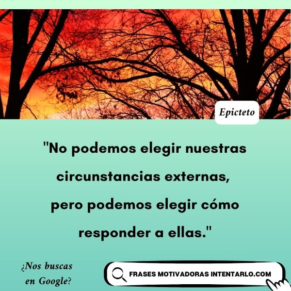 Una puesta de sol con siluetas de ramas de árboles. Cita de Epicteto: "No podemos elegir nuestras circunstancias externas, pero podemos elegir cómo responder a ellas.
