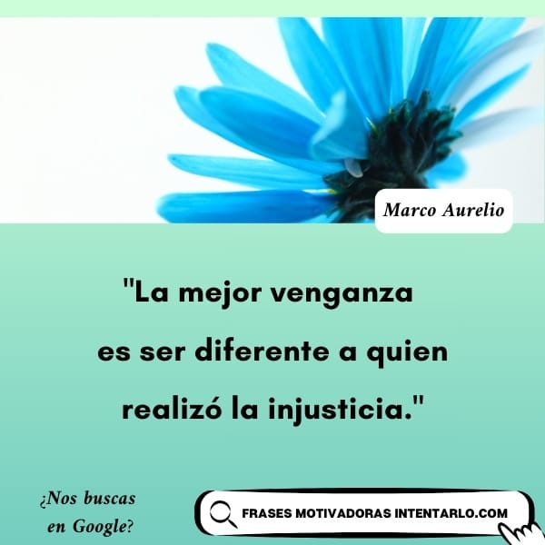 Reflexión de Marco Aurelio sobre la venganza de ser diferente a tu enemigo, con una flor azul.