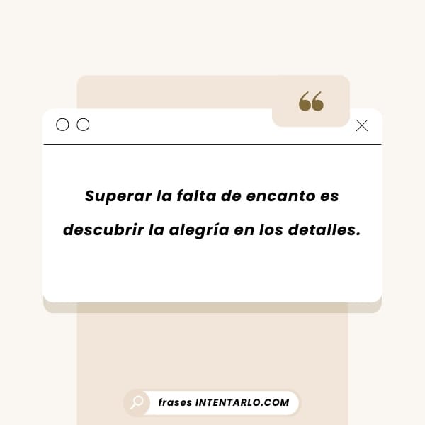 La alegría de los detalles Reflexión sobre descubrir la alegría en los pequeños detalles de la vida.
