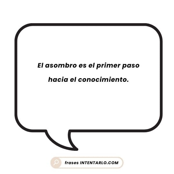 El asombro y el conocimiento Cita corta sobre el asombro como el primer paso hacia el conocimiento.