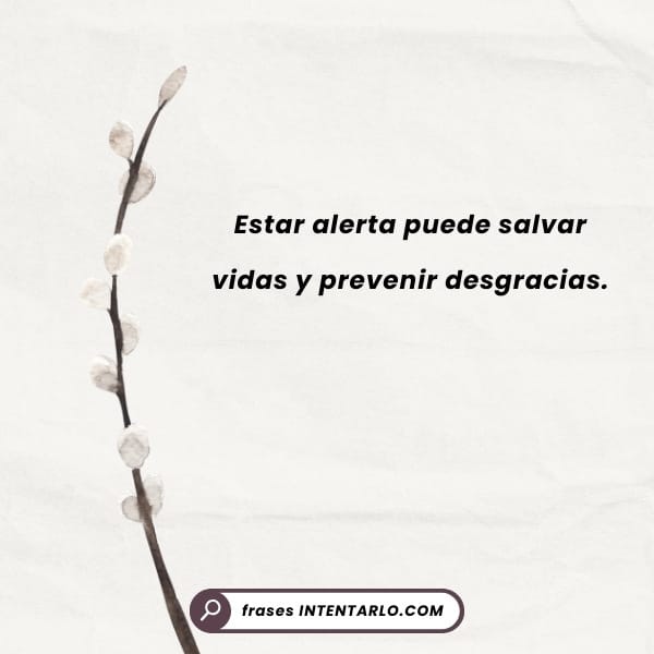 Estar alerta puede salvar vidas Frase sobre la importancia de estar alerta para prevenir desgracias.