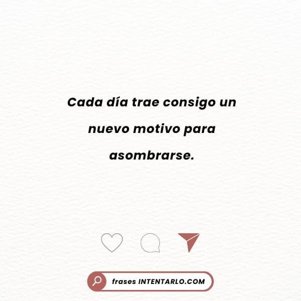 El asombro de cada día Reflexión sobre encontrar motivos para asombrarse cada día.