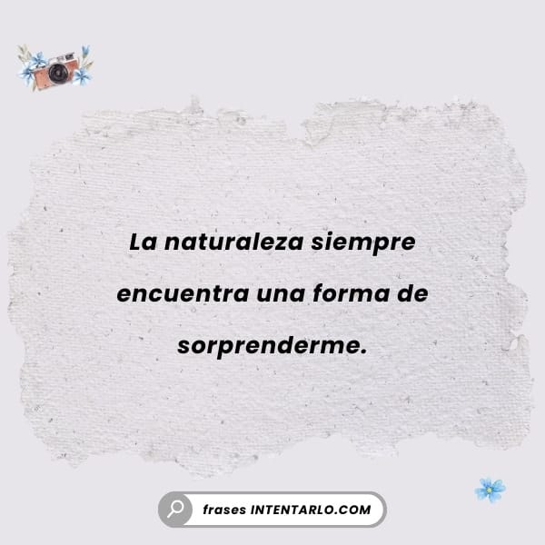 La sorpresa de la naturaleza Frase sobre cómo la naturaleza siempre encuentra una forma de sorprendernos.