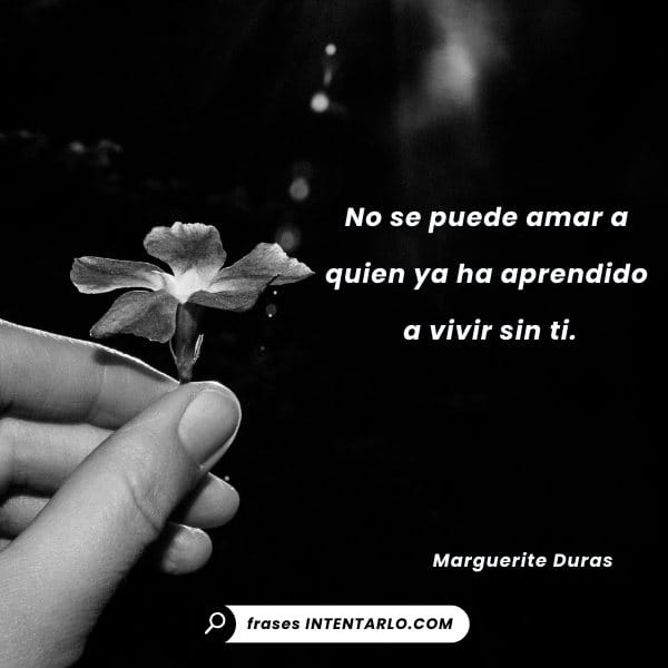 Frases para los finales cuando el amor se acaba Un sol que se pone en el horizonte del mar, representando el final de un día y de un ciclo.