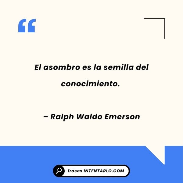 Cita de Sócrates sobre el estupor como inicio de la sabiduría en un fondo conceptual.