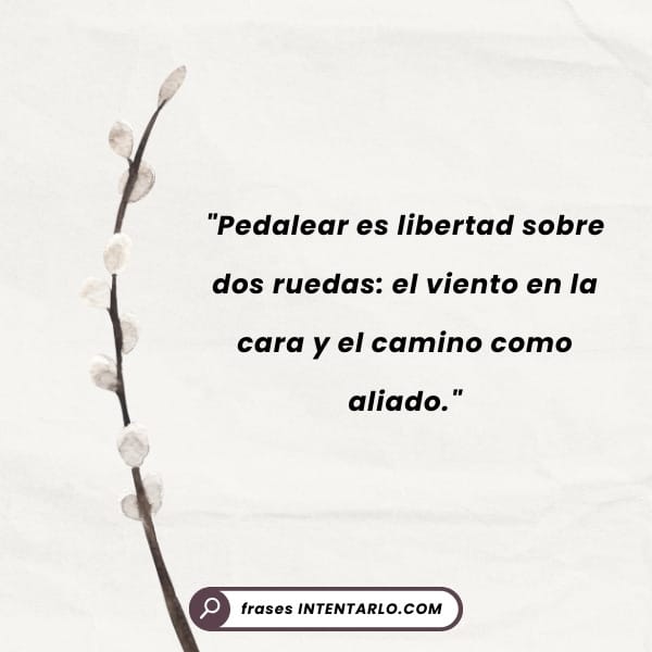 Frase motivadora de Eddy Merckx con la imagen de un ciclista escalando una montaña.