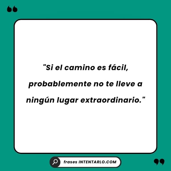Superación ante la adversidad Una planta creciendo a través del asfalto, representando la resiliencia y la superación.