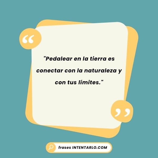 Inspiración para ciclistas Reflexión sobre la pasión y la adrenalina en los descensos de MTB.