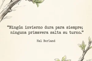 Frases positivas